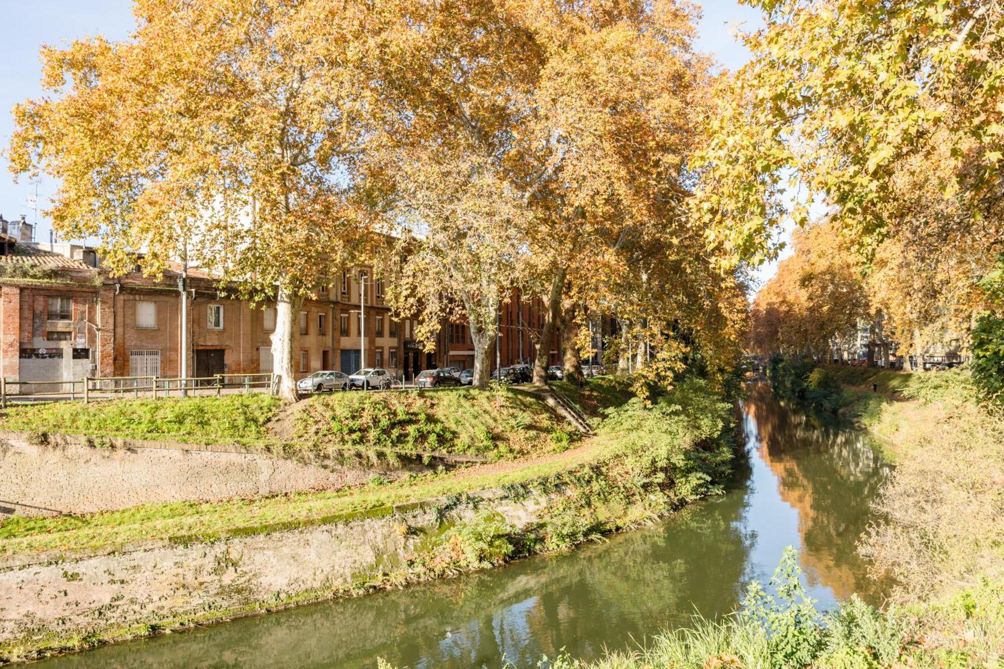Appartamento L'Ecluse St-Pierre Tolosa Esterno foto
